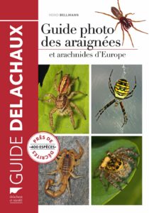 Guide photo des araignées et arachnides d'Europe (Heiko Bellmann)