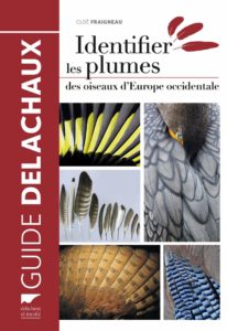 Identifier les plumes des oiseaux d'Europe occidentale (Cloe Fraigneau (Auteur)