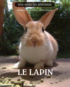 Le lapin - Nos amis les animaux (Manon Tremblay)