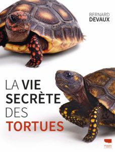 La vie secrète des tortues (Bernard Devaux)