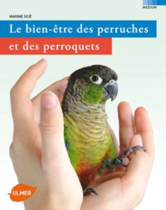 Le bien-être des perruches de des perroquets (Marine Scié)
