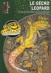 Le gecko léopard - Eublepharis Macularius (Mélanie Hartwig)