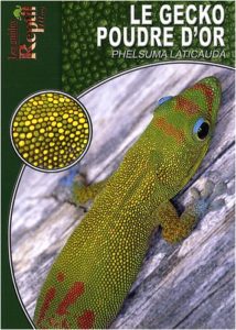 Le gecko poudre d'or - Phelsuma Laticauda (Peter Krause)