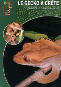 Le gecko à crête (Stefanie Bach)