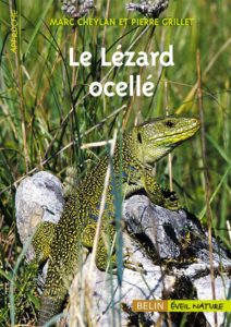 Le lézard ocellé (Marc Cheylan, Pierre Grillet)