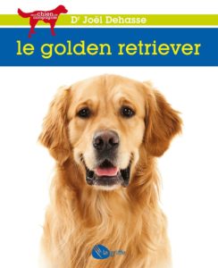 Le golden retriever (Joël Dehasse)