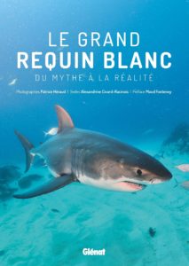 Le grand requin blanc - Du mythe à la réalité (Alexandrine Civard-Racinais, Patrice Héraud)