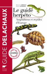 Le guide herpéto - Amphibiens et reptiles d'Europe (Nicholas Arnold, Denys Ovenden)