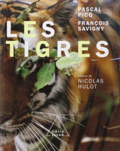 Les tigres (Pascal Picq, François Savigny)
