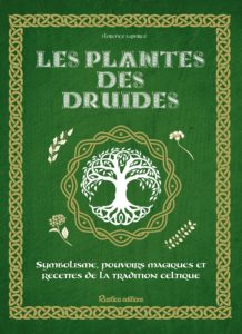 Les plantes des druides - Symbolisme, pouvoirs magiques et recettes de la tradition celtique (Isabelle Frances, Florence Laporte)