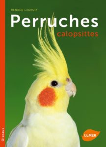Perruches callopsites (Renaud Lacroix, Philippe Rocher)