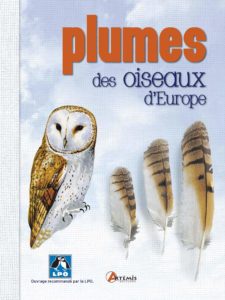 Plumes des oiseaux d'Europe (Einhard Bezzel, Marlène Passet, Anne Eydoux)