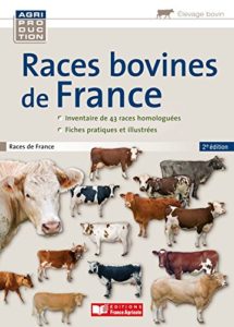 Races bovines de France (Stéphane Patin, Lucie Markey)