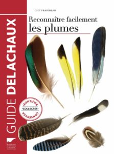 Reconnaître facilement les plumes - Identifier, collecter, conserver (Cloé Fraigneau)