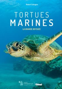 Tortues marines - La grande odyssée (Robert Calcagno)