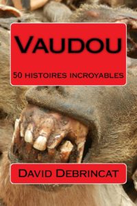 Vaudou : 50 histoires incroyables (David Debrincat)