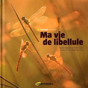 Ma vie de libellule (Daniel Magnin, Alain Cugno)