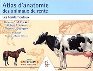 Atlas d’anatomie des animaux de rente – Les fondamentaux Thomas McCracken Robert A Kainer