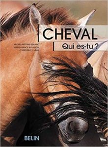 Cheval qui es tu L’éthologie du cheval du comportement naturel à la vie domestique Michel Antoine Leblanc Marie France Bouissou Frédéric Chéhu