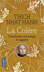 La Colère Transformer son énergie en sagesse Thích Nhất Hạnh