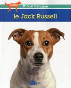 Le Jack Russell terrier Joel Dehasse
