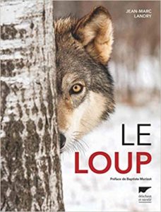 Le loup Jean Marc Landry