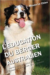 L’éducation du Berger Australien – Toutes les astuces pour un Berger Australien bien éduqué Mouss