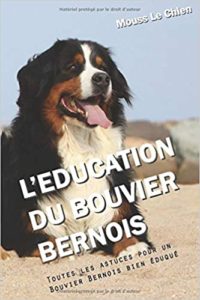 L’éducation du Bouvier Bernois – Toutes les astuces pour un Bouvier Bernois bien éduqué Mouss le Chien