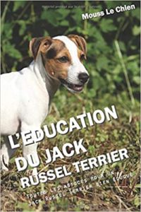 L’éducation du Jack Russel Terrier Mouss le Chien