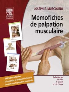 Mémofiches de palpation musculaire Joseph E. Muscolino Jean Louis Estrade Annie Gouriet