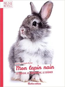Pas si bêtes – Mon lapin nain Christophe Bulliot