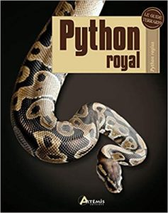 Python royal – Python regius Colette Sutherland