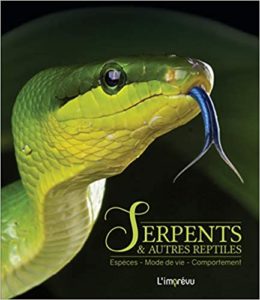 Serpents et autres reptiles – Espèces mode de vie comportement Hans W. Kothe