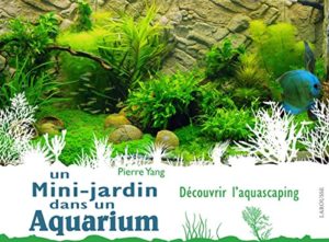 Un mini jardin dans un aquarium Pierre Yang
