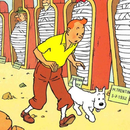 Tintin : liste des albums dans l'ordre