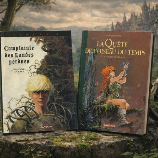 Quels sont les classiques de la BD heroic fantasy ?