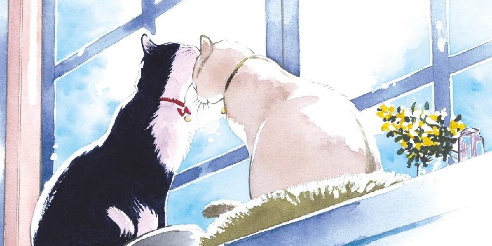 Les 23 meilleurs mangas sur les chats