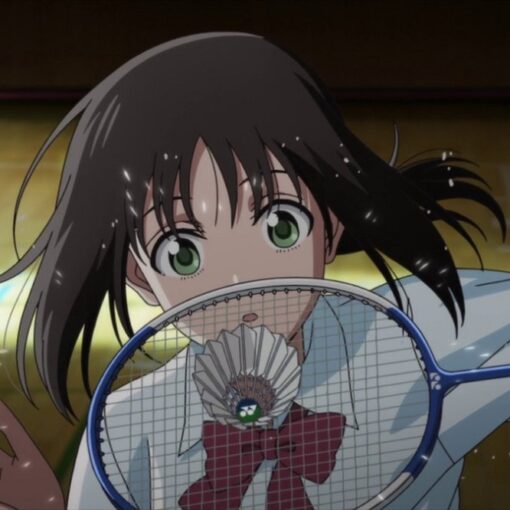 Badminton - Liste de 2 mangas