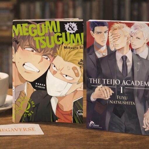 Omegaverse : par quels mangas commencer ?