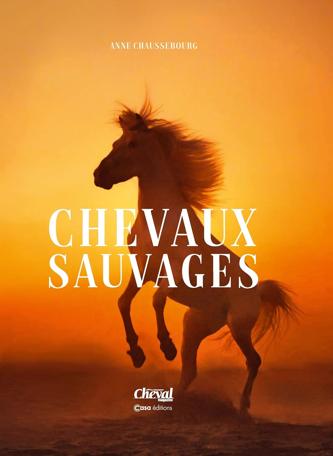 LIVRE CHEVAUX - UNE HISTOIRE NATURELLE