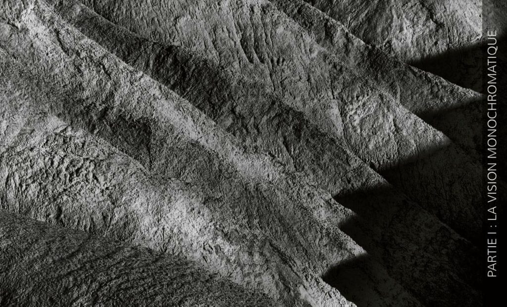 Photographie numérique en noir et blanc - Michael Freeman