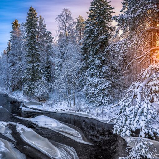 3 guides de voyage pour visiter la Finlande
