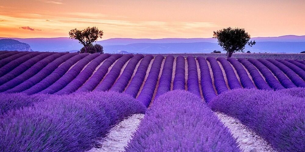 3 guides de voyage pour visiter la Provence