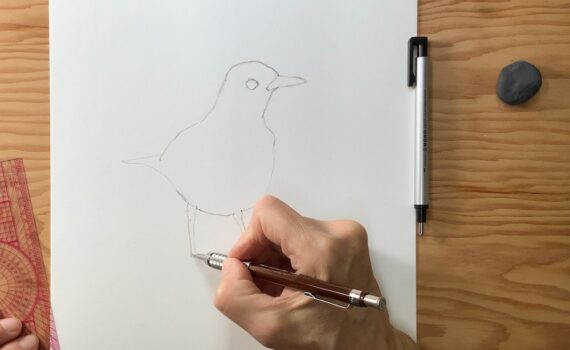 4 livres pour apprendre à dessiner des oiseaux