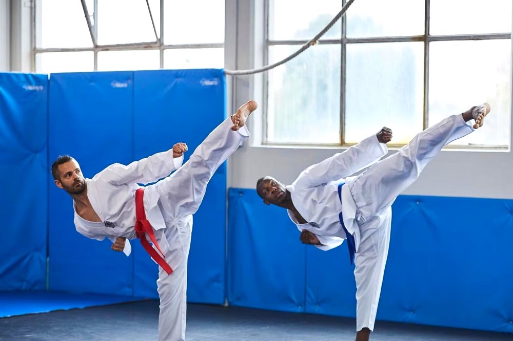 5 Beaux Livres Sur Le Taekwondo Son Histoire Et Ses Techniques