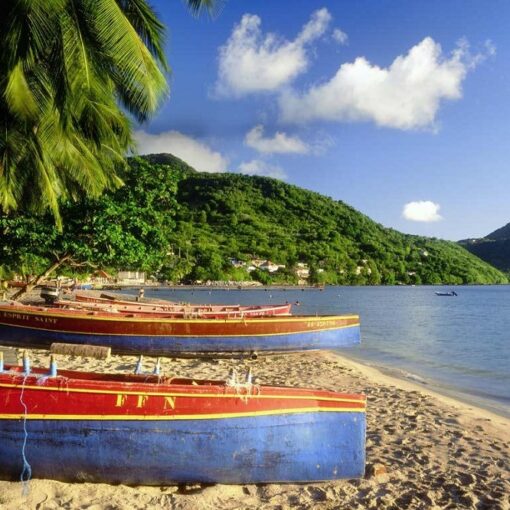 5 guides de voyage pour visiter la Martinique