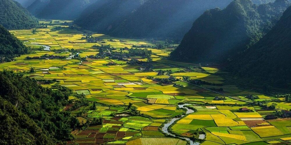 5 guides de voyage pour visiter le Vietnam