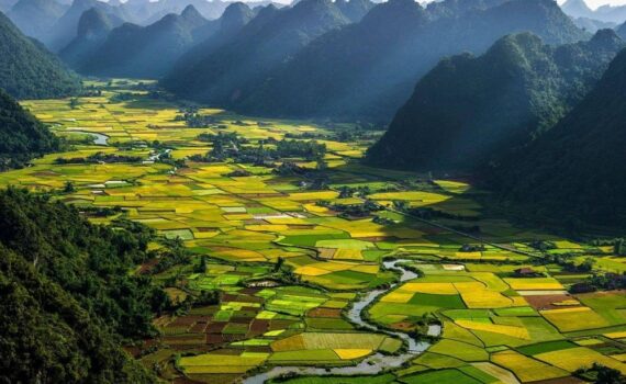 5 guides de voyage pour visiter le Vietnam