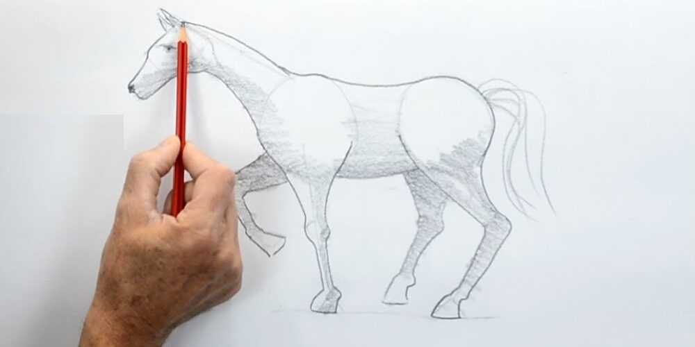 5 livres pour apprendre à dessiner des chevaux