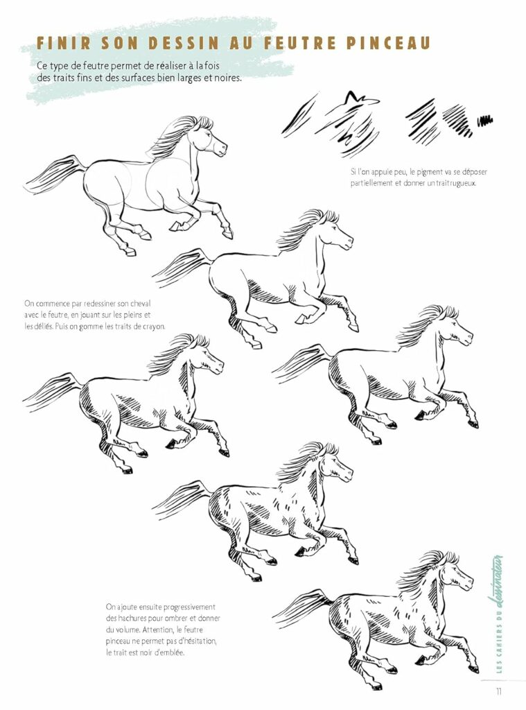 5 Livres Pour Apprendre Dessiner Les Chevaux Sur De Bonnes Bases 5-livres-pour-apprendre-dessiner-les-chevaux-sur-de-bonnes-bases